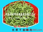 河南省封研金銀花技術推廣中心 專業相冊展現技術實力