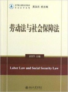 勞動(dòng)人事代理制度的法律規(guī)制與實(shí)務(wù)探討